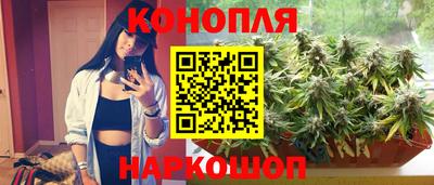 марихуана Кингисепп