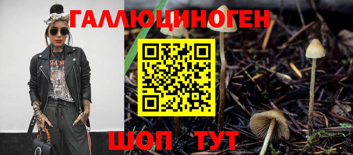 Псилоцибиновые грибы ЛСД  Вход с VPN  где можно купить наркотик  Галлюциногенные грибы GOLDEN TEACHER  Кировск 