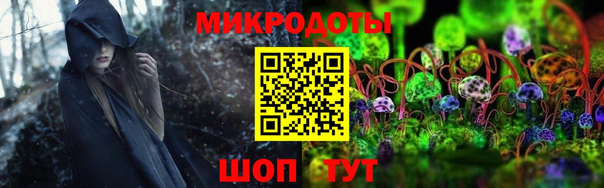 Псилоцибиновые грибы GOLDEN TEACHER Кировск