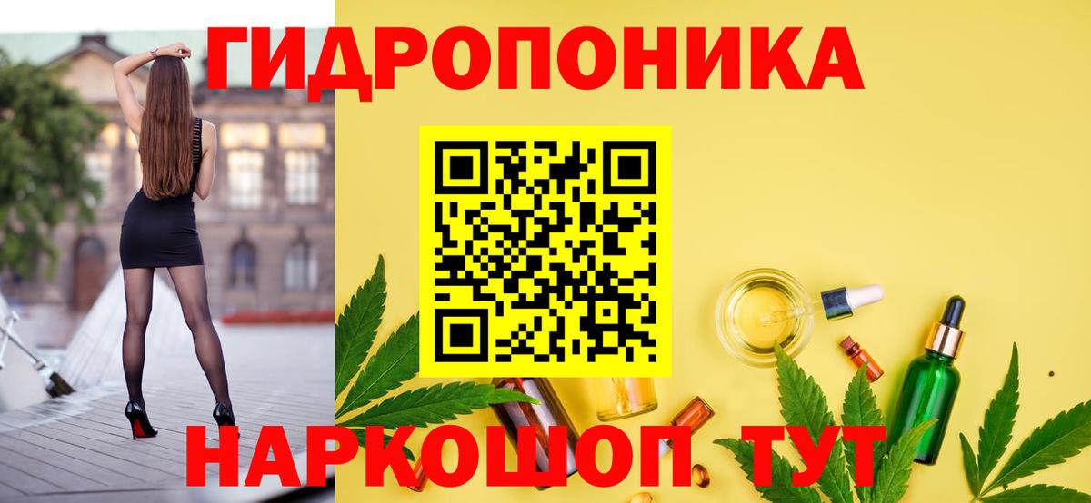 Шишки марихуана марихуана Кировск